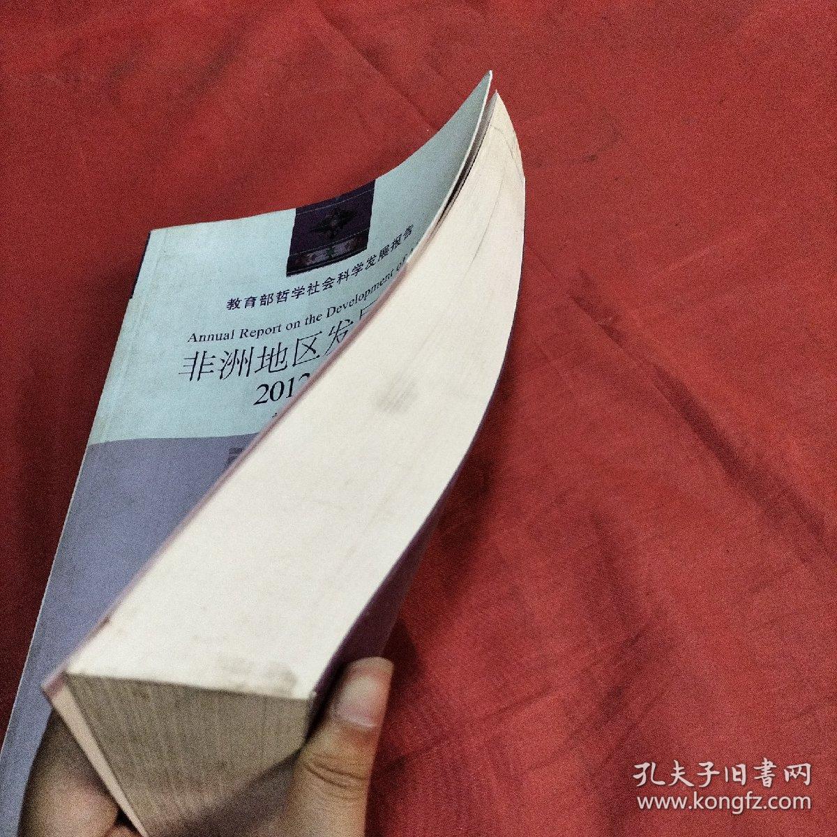 教育部哲学社会科学发展报告：非洲地区发展报告（2012-2013）