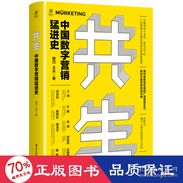 共生：中国数字营销猛进史