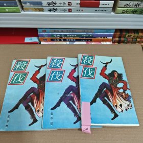 杀伐上中下，云中岳小说