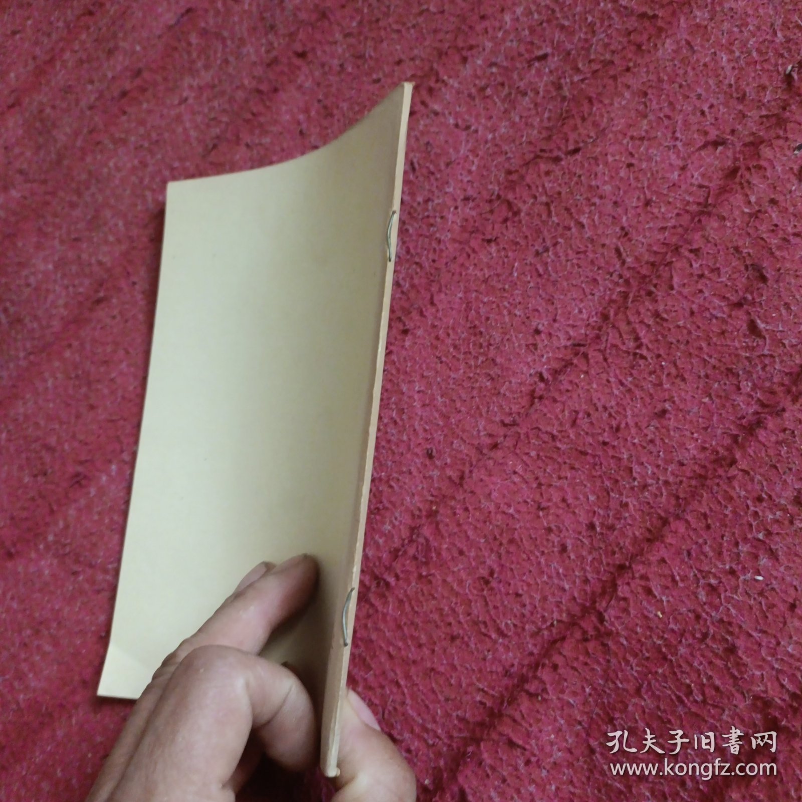 中华人民共和国宪法修改草案
