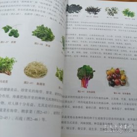 中国饮食文化