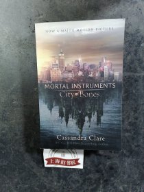 The Mortal Instruments :City of Bones