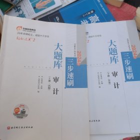 审计2024