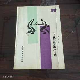 少林正宗气功