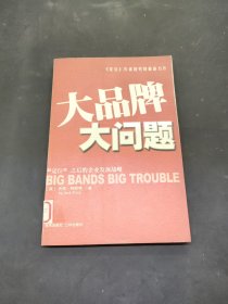 大品牌大问题