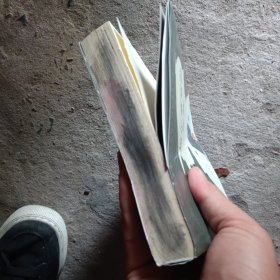 秘密之旅:福尔摩斯的秘密