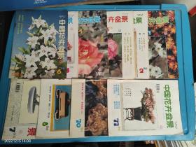 中国花卉盆景 1996 1-12 缺9.12 共10本合售