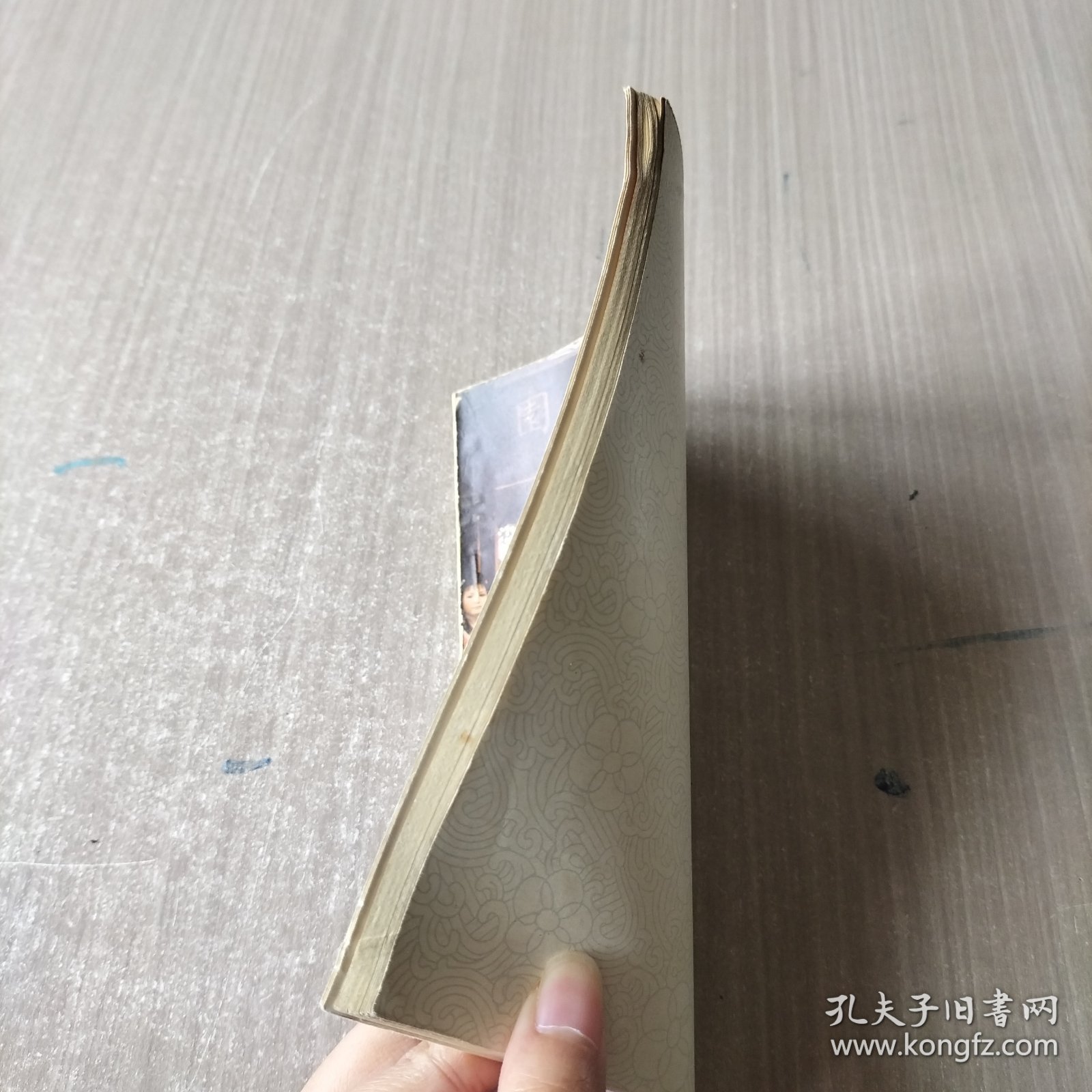 红楼入门:小说、电视剧《红楼梦》常识手册