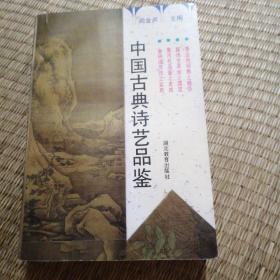 中国古典诗艺品鉴