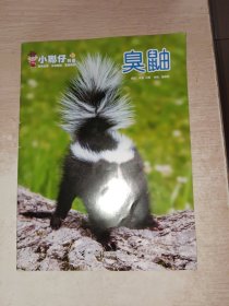 小聪仔科普 臭鼬