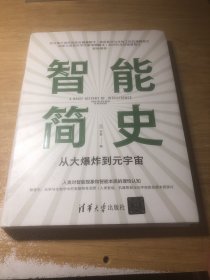 智能简史——从大爆炸到元宇宙
