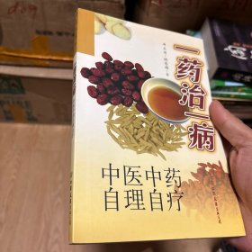 一药治一病(中医中药自理自疗)