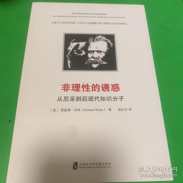 非理性的诱惑:从尼采到后现代知识分子