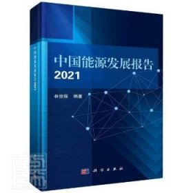 中国能源发展报告2021