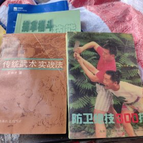 传统武术实战法＊防卫绝技300招（赠送《擒拿格斗》1册）