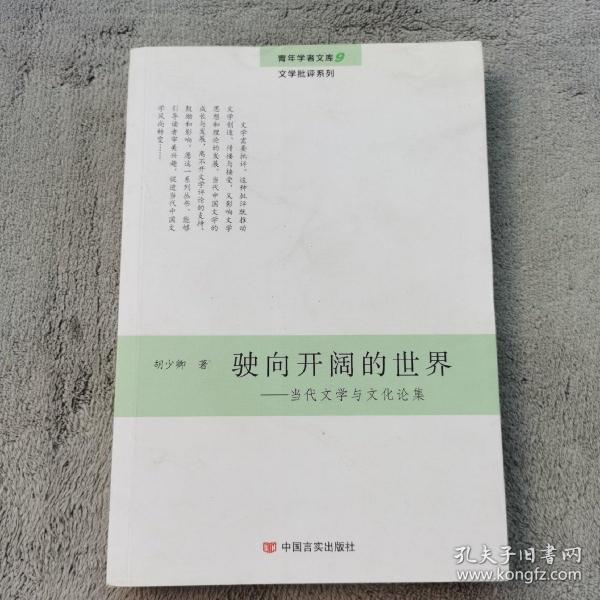 驶向开阔的世界：当代文学与文化论集