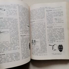 湖南森林昆虫图鉴（初版丶无笔记）