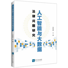 人工智能与大数据法律问题研究 9787513080415 冷传莉 知识产权出版社