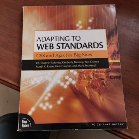 Adapting to Web Standards---CSS and Ajax for Big Sites (Voices That Matter)【英文原版】