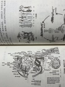 内证观察笔记 原版增订本真图本中医解剖学纲目 内政内症内正观察笔记 内证检查观摩见证笔记
中医学中医养生