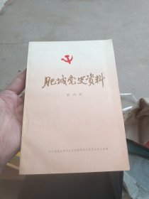 肥城党史资料(第六辑)