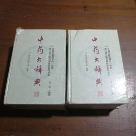 中药大辞典(第二版缩印本)(分装上、下册)