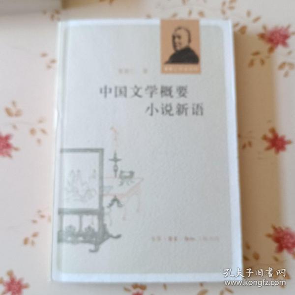 中国文学概要 小说新语