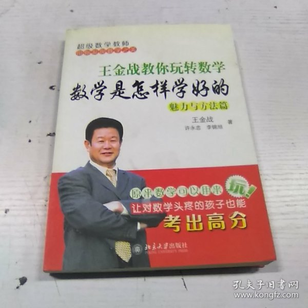 王金战教你玩转数学：数学是怎样学好的（魅力与方法篇）