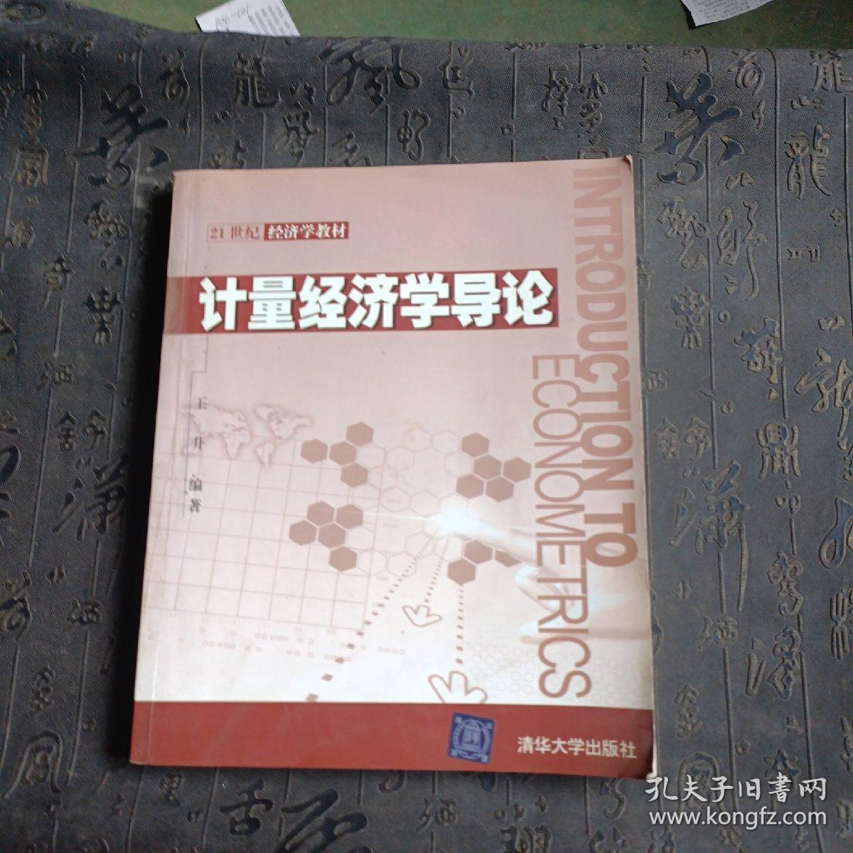 21世纪经济学教材：计量经济学导论