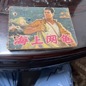 海上网龟