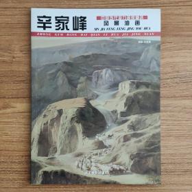 中国当代潜力画家精选：辛家峰风景油画