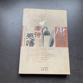唐诗感悟/传统文化现代感悟书系