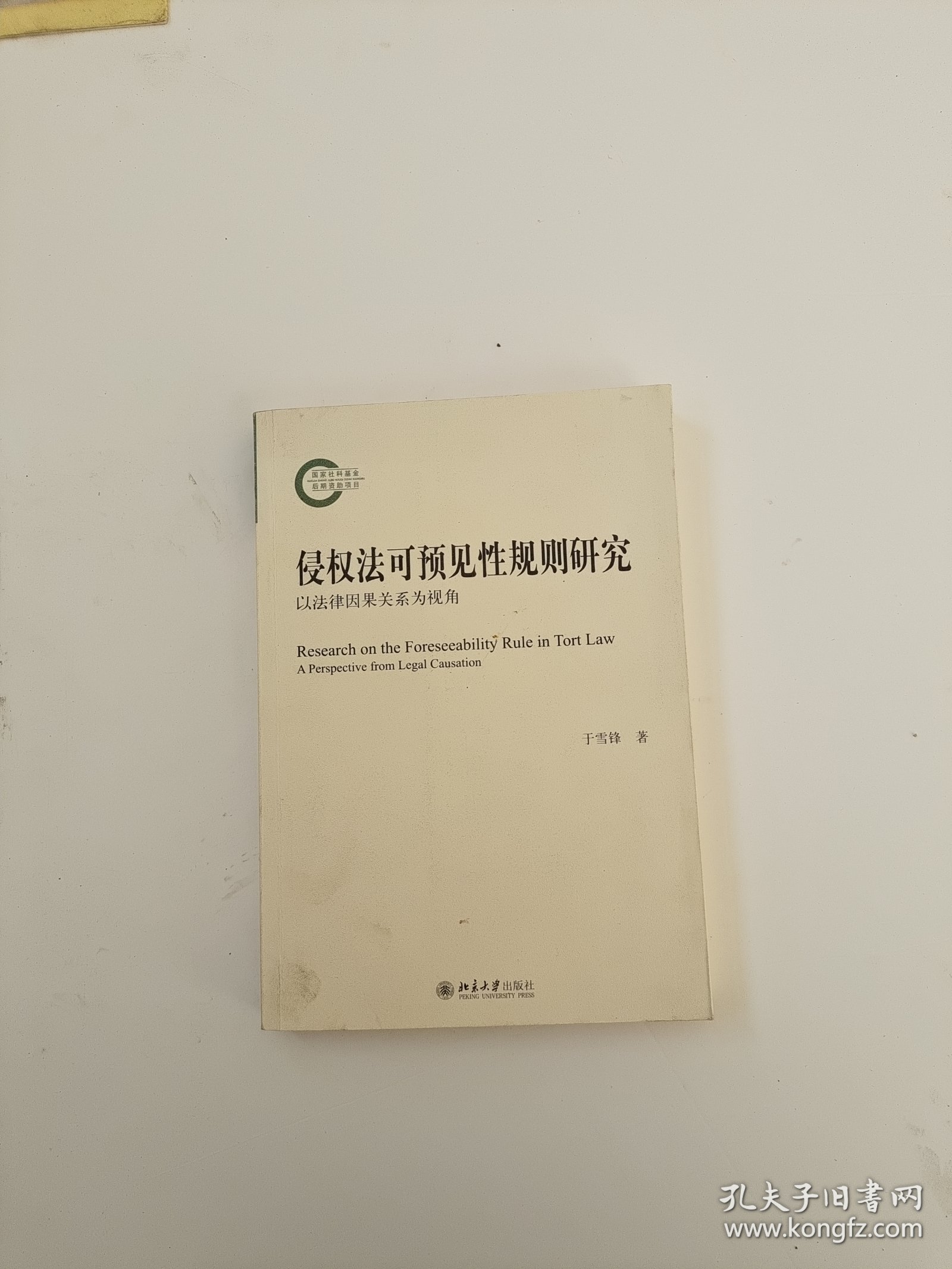 侵权法可预见性规则研究——以法律因果关系为视角