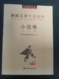 彝族书籍《彝族文学作品选粹-小说卷》彝文书