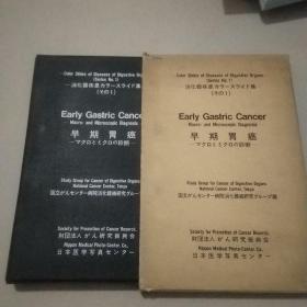 早期胃癌诊断 图片（日文原版）