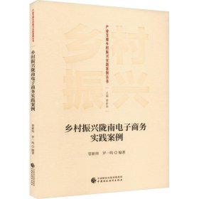 乡村振兴陇南电子商务实践案例