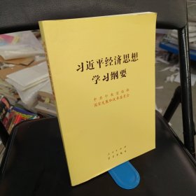 习近平经济思想学习纲要（16开）