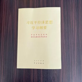 习近平经济思想学习纲要（16开）