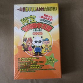 阿宝智闯数学王国 光盘