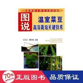 圖說(shuō)溫室菜豆高效栽培關(guān)鍵技術(shù) 種植業(yè) 王久興