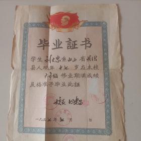 1957年毕业证书