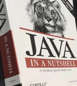 JAVA IN A NUTSHELL A Desktop Quick Reference 英文原版