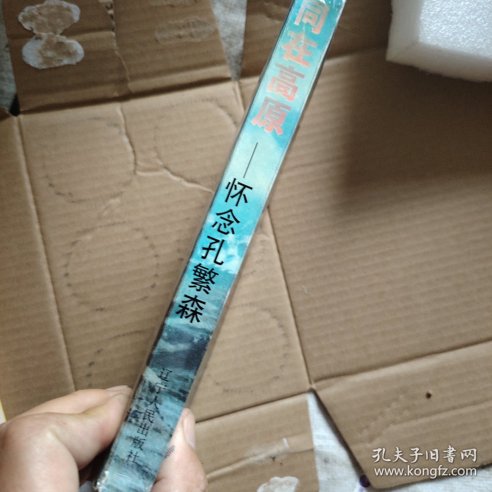 同在高原:怀念孔繁森！