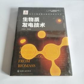 现代生物质能高效利用技术丛书--生物质发电技术