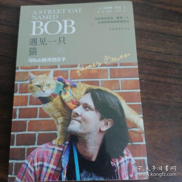 遇见一只猫:与Bob相伴的日子