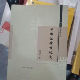 中国法律发达史