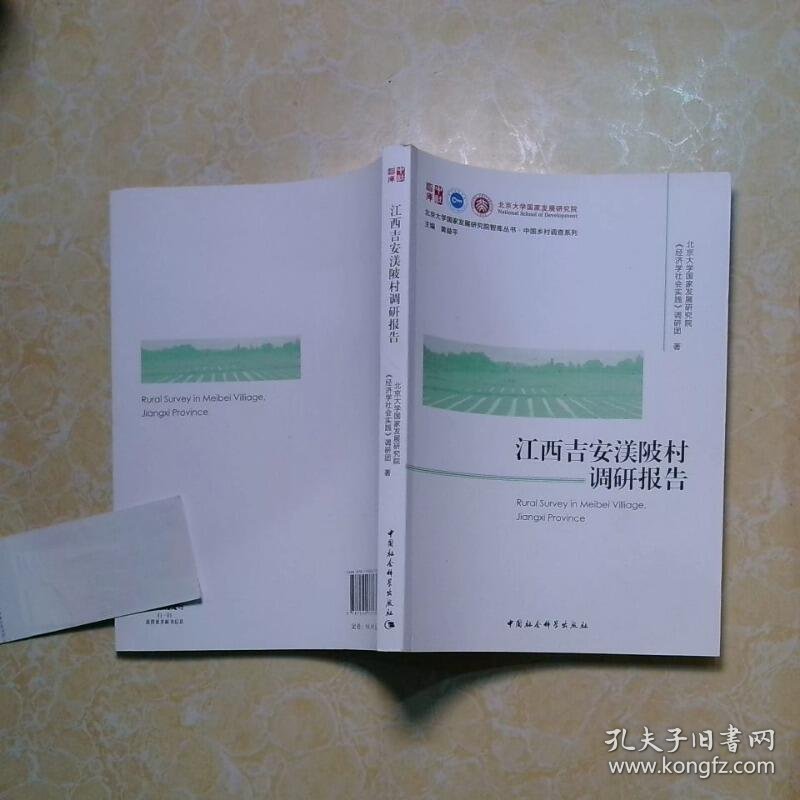 中国乡村调查系列北京大学国家发展研究院智库丛书江西吉安渼陂村调研报告