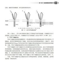 正版 免疫细胞临床应用 陈继冰，穆峰，王雪莹 9787306073778