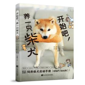 开始吧！养一只柴犬