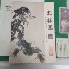 怎样画鹰（10箱左2）